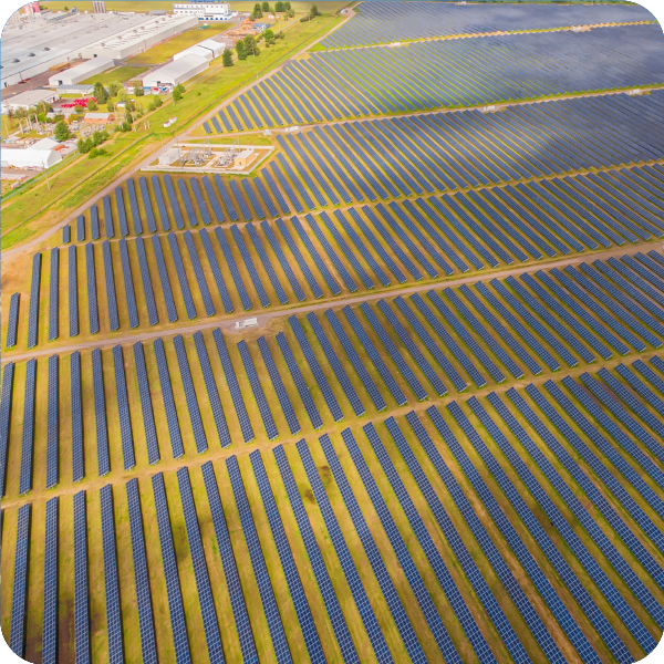 A birds eye view of a solar farm containing rows of solar panels. 