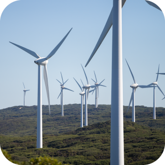 Wind turbines along the coast of Albany. 